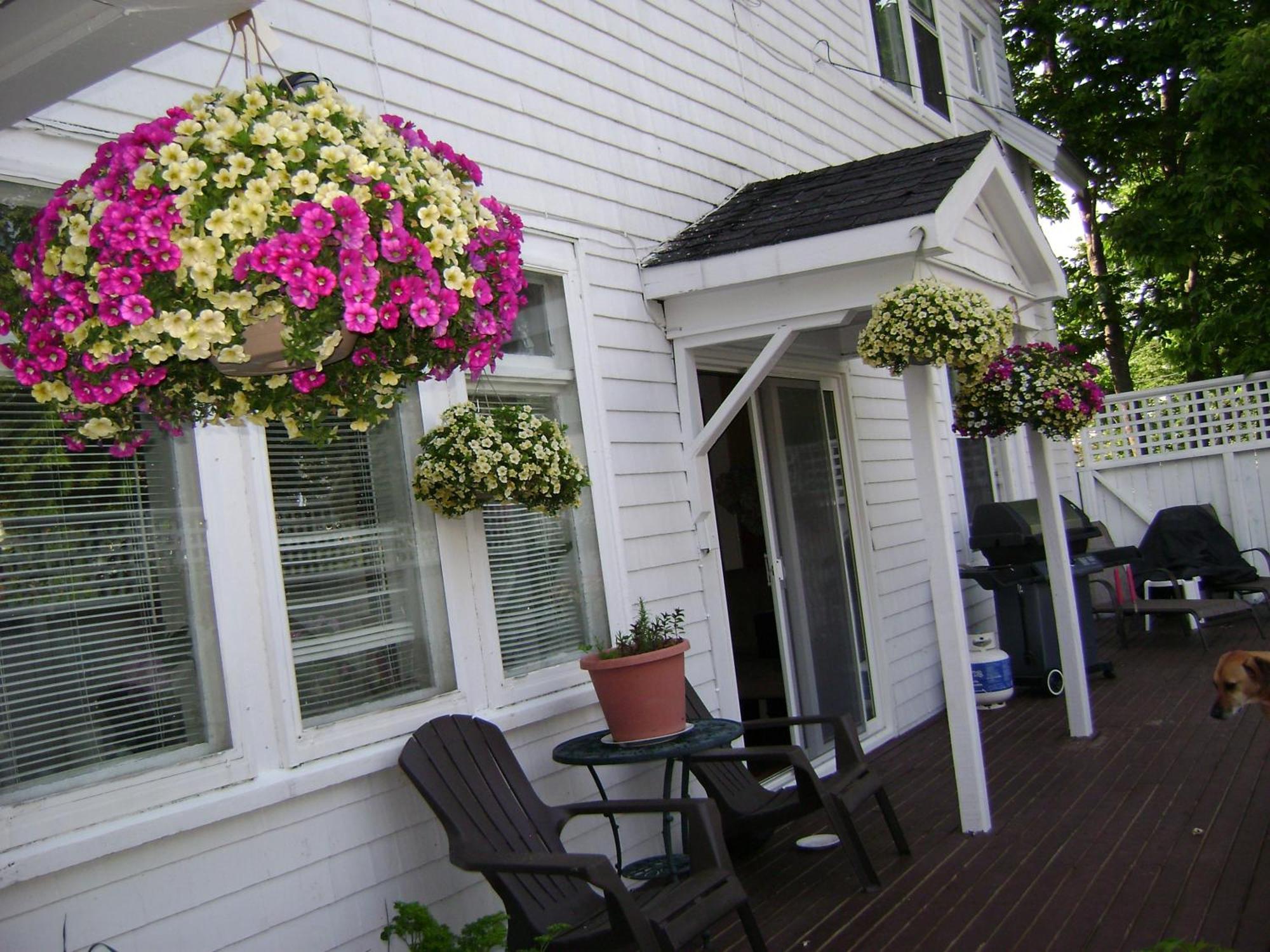 Lakelawn B&B And Motel Yarmouth Exterior foto